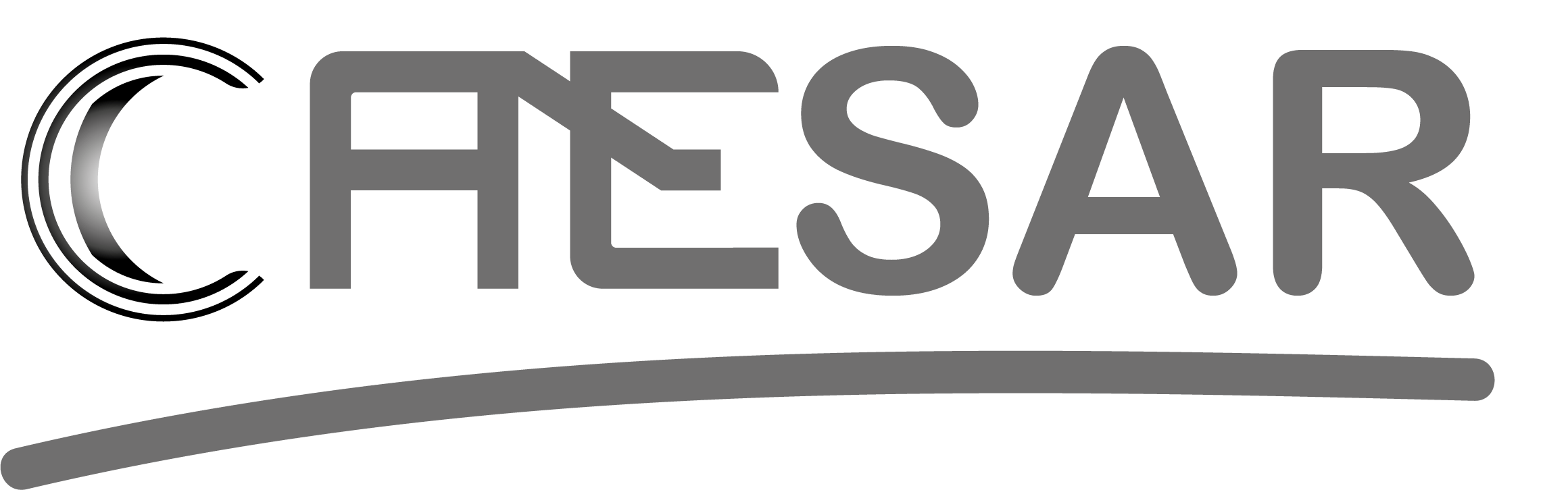 Logo Caesar